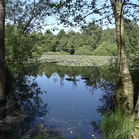 Apartamento Residenz Adolfstr.6 A / 12 Cuxhaven